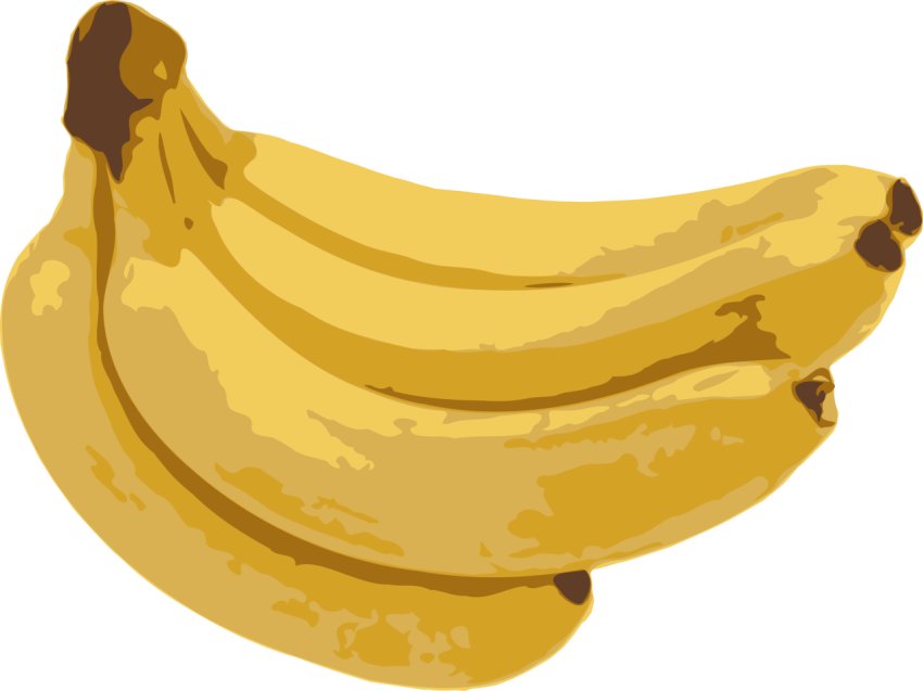 Clipart Vector old loose banana bunch Painting