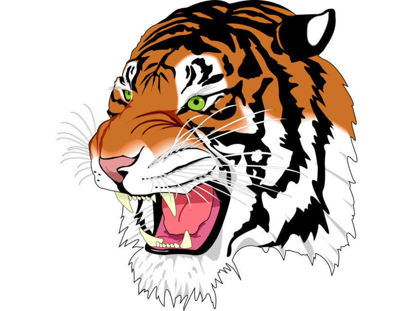 Tiger PNG open face free download