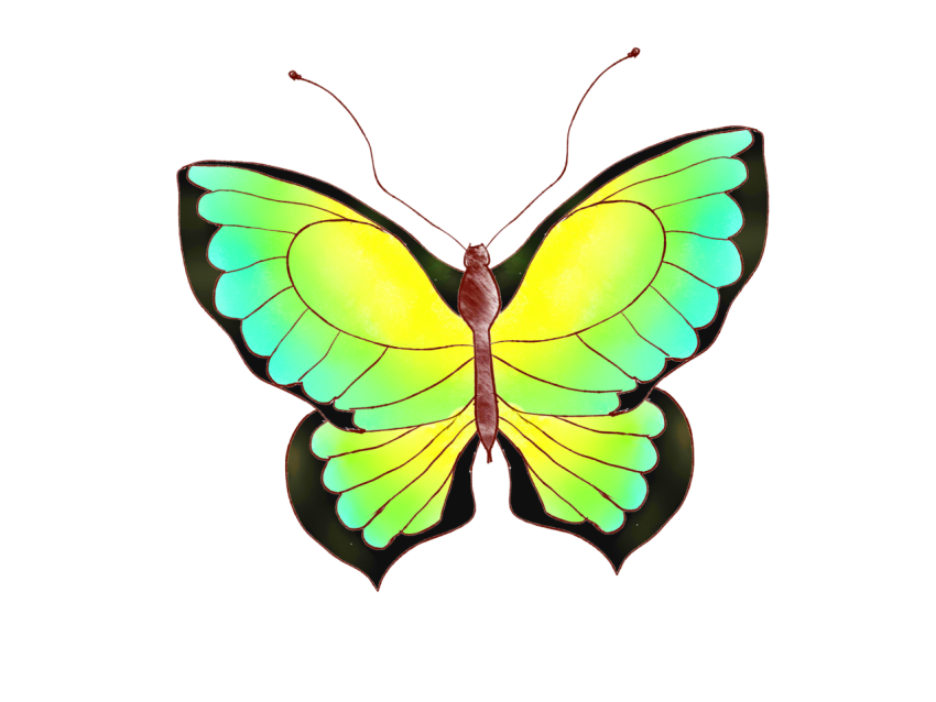 Green butterfly Free Download PNG