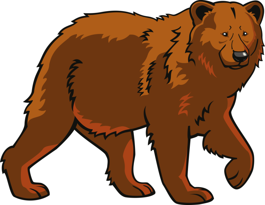 Bear PNG Logo On Transparent Background Free Download