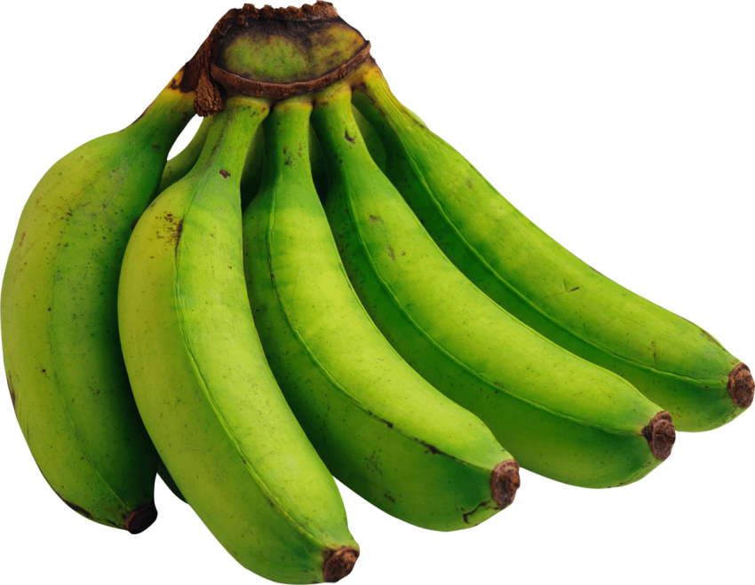 Green Bananas Png Image & Picture PNG Free Download