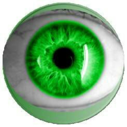 Multi green color eye lens free