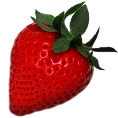 Strawberry Illustration Icon Png Transparent Free Download