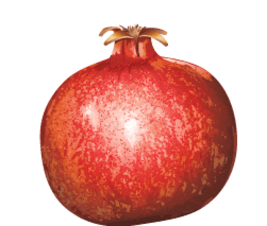 Best Cliaprt Pomegranate Png Picture Free Download