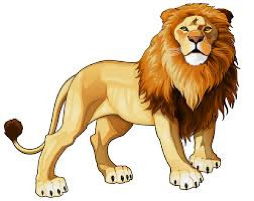 Lion PNG Clipart Image