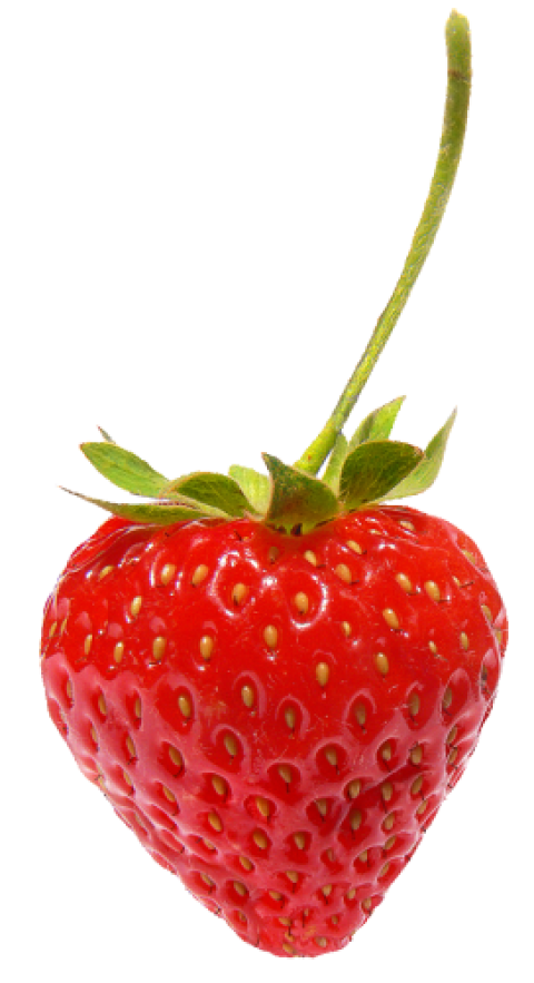 Single Strawberry Transparent Background PNG Icon & Image Free Download