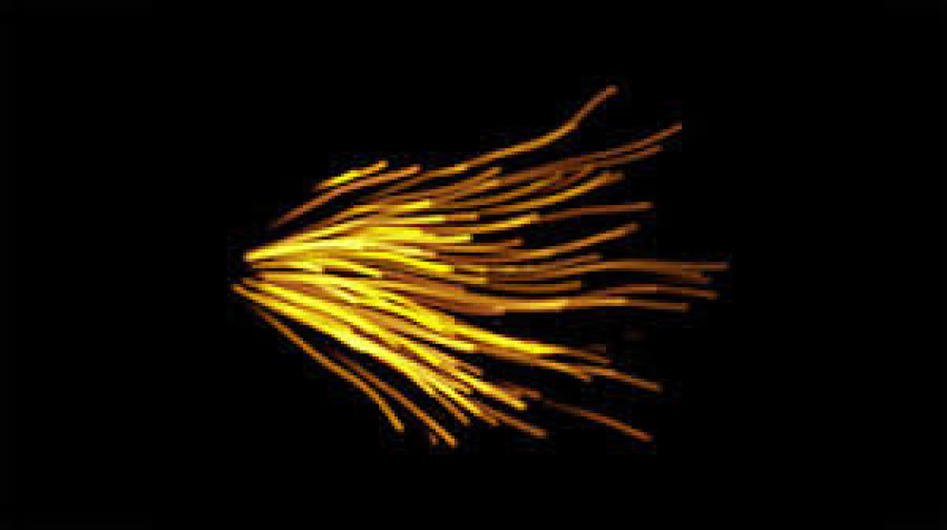 Gold fire lines with light effect png free download black background