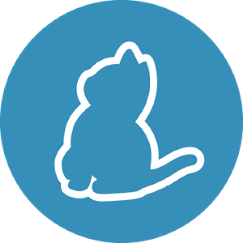 Yarn On Cute Cat PNG Sticker Free Download