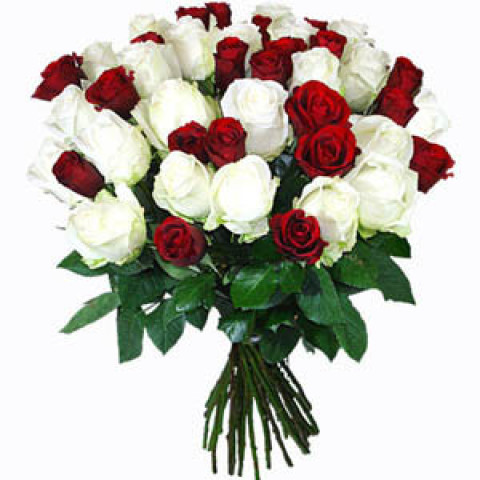 Red and white rose gift rose pack free png