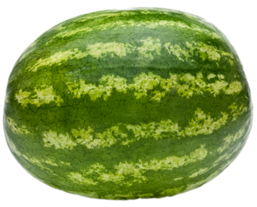 Download Free PNG watermelon Image PNG Transparent