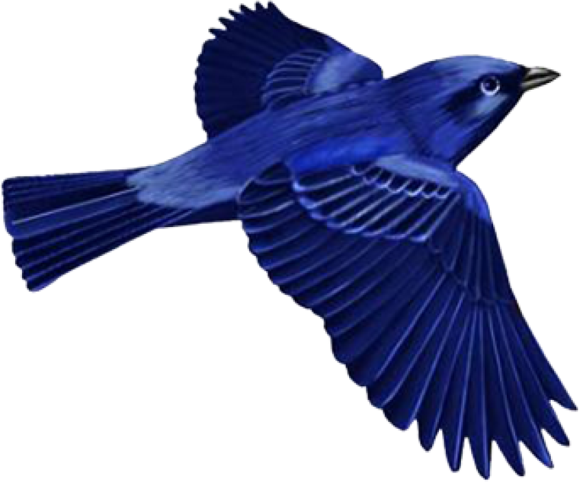 Beautiful Blue Art Sparrow PNG transparent Image