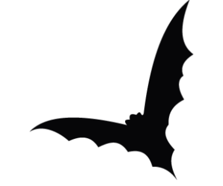 Bats icon is png free to use