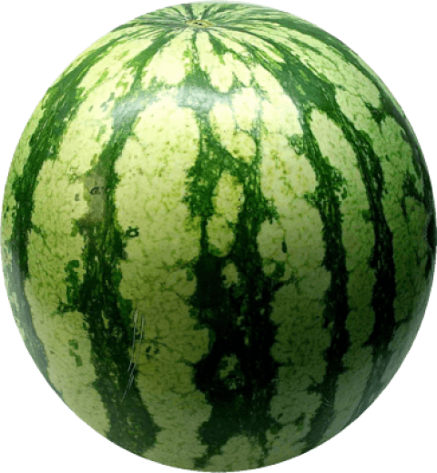 3D watermelon  Clipart picture PNG free Download