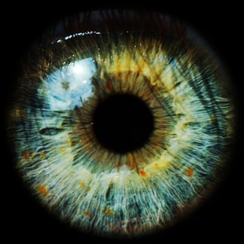 Draogn eye lens with black dot