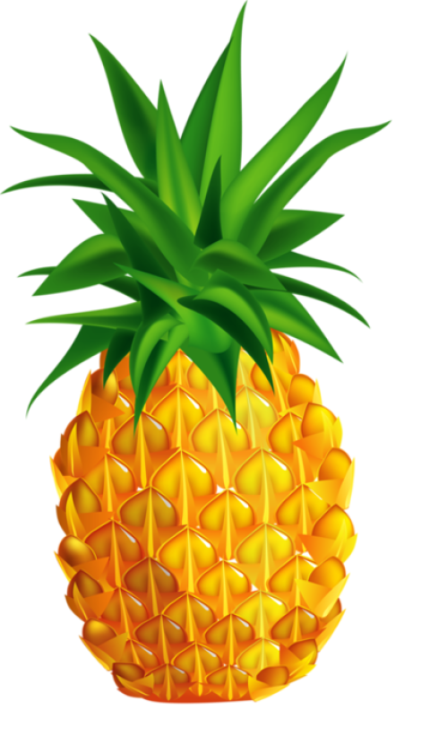 Royalty Free Vector Hd Pineapple Fruit Fesh Healty PNG Photo Transparent Free Download