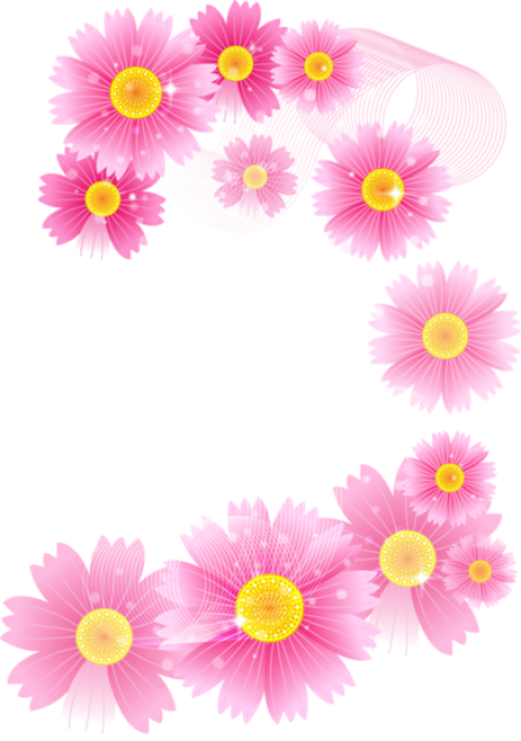 Pink flowers png free download