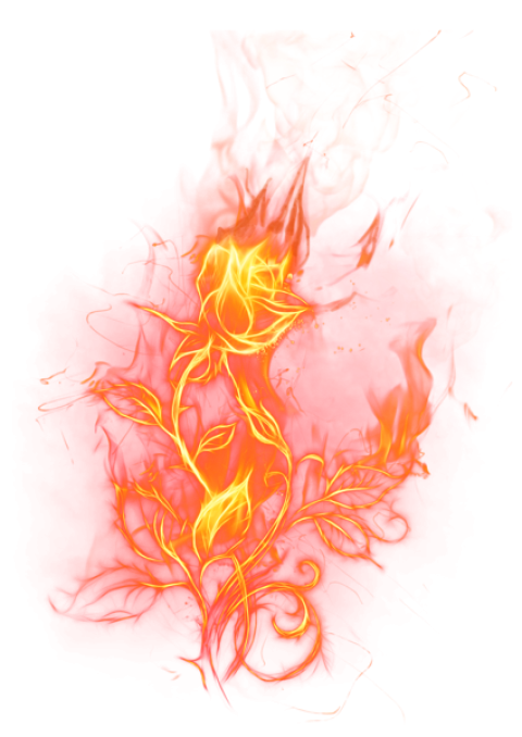 Transparent beautiful fire rose with smoke effect png free download