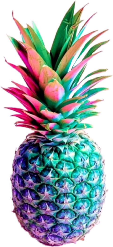 Isolated Pineapple  Graphics Color Art Pineapple Image PNG Free Download