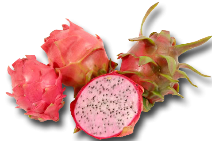 PSD Illustration Sillhuette PNG Pitaya White Fleshed Pitahaya Fruit  Natural Auglis Vegetable Wallpaper Image PNG Free Download