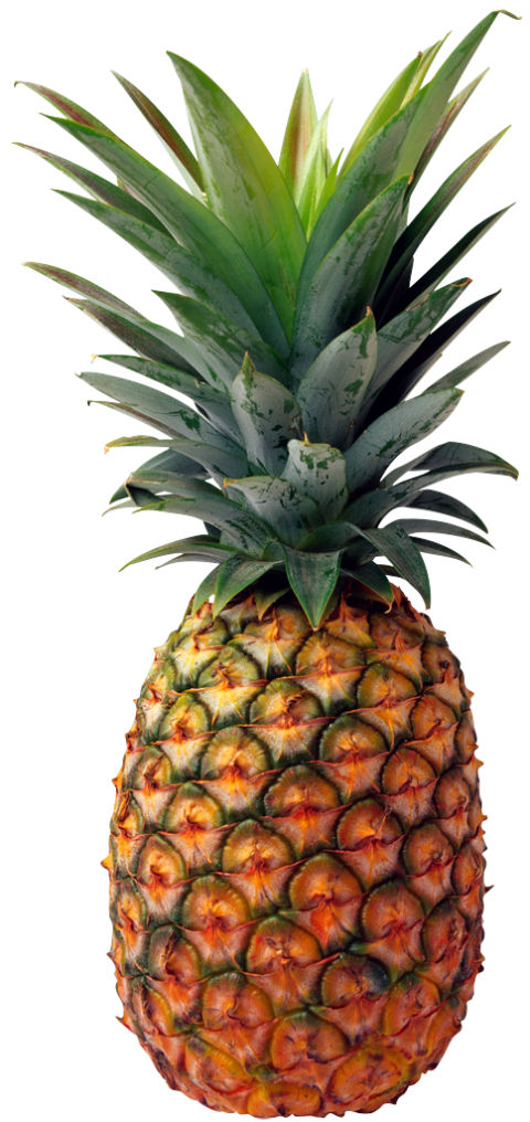 Transparent Illustration Pineapple Clipart Upside Down Cake Pineapple, Frutas, Image Stock Art Image Free Download
