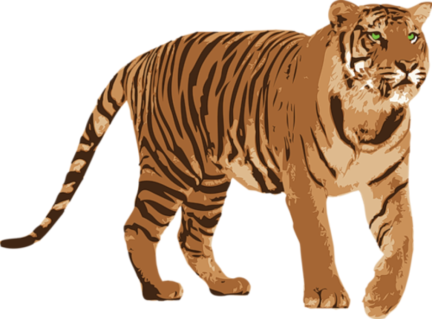 Tiger PNG image run start free png download