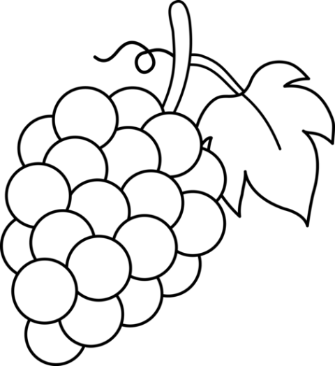 Grapes Vector Art White & Black PNG No Background Picture PNG Free Download