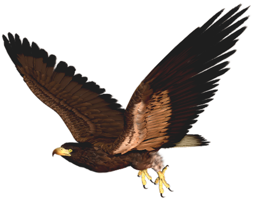 Flying Owl Png Birds Image, Owl PNG by LG- Design , Owl Png Image, Picture , Transparent Owl  Image PNG Free