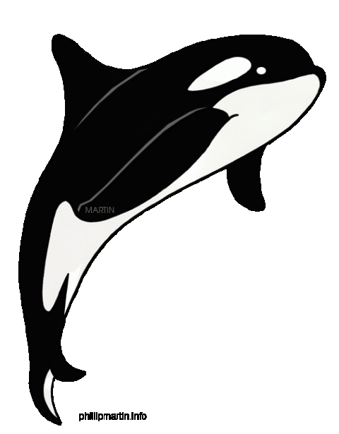 Cute Cartoon Character On Orca PNG Transparent background Image