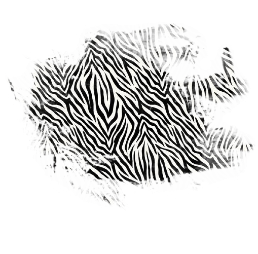 Animal texture free png download