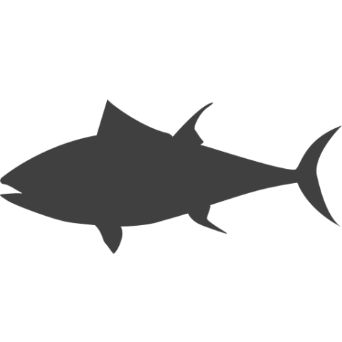Tuna PNG black icon