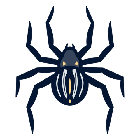 Tarantula PNG Transparent Cobalt Tarantula Free Image