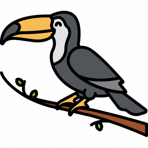 HD Vector Art Rhinoceros Hornbill PNG Bird Image