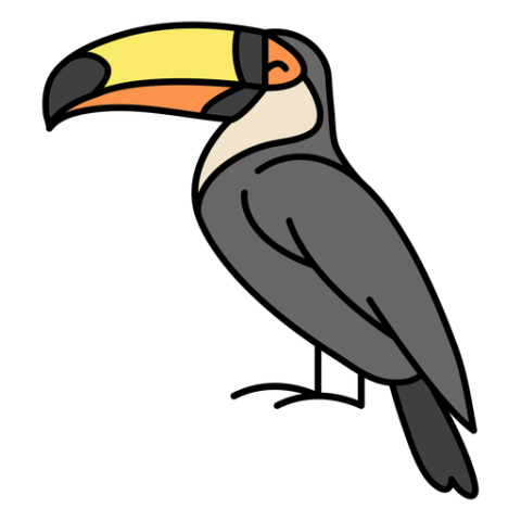 Beautiful Art of Rhinoceros Hornbill PNG Image