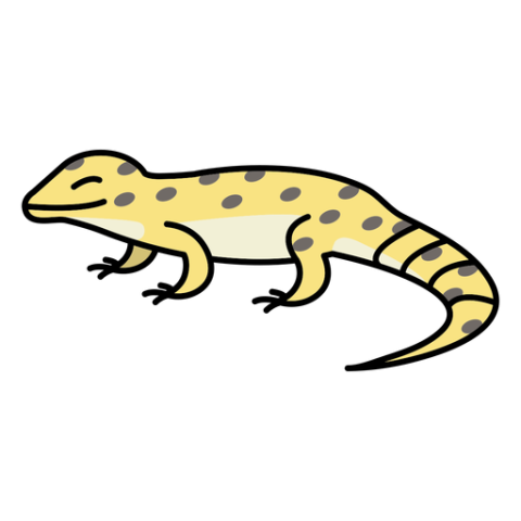 Happy Lizard Reptile PNG Icon