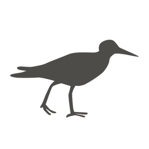 Silhouette Sandpiper PNG Black Icon