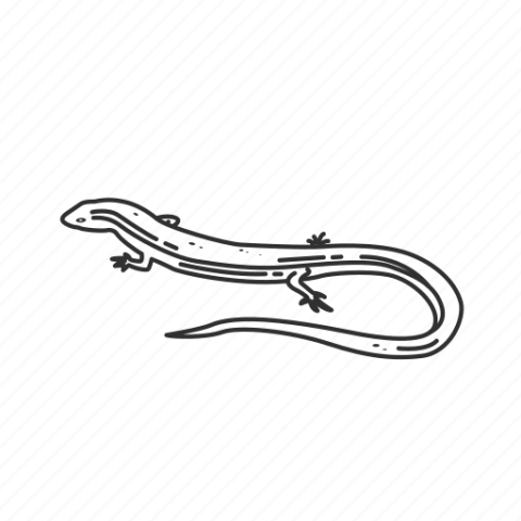 Silhouette Skink PNG Art Image Free Download