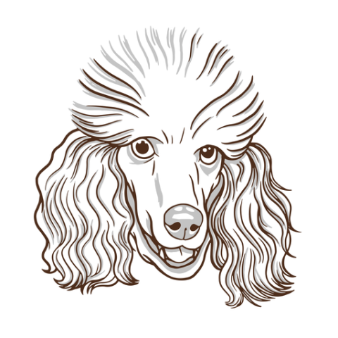 HD Clip Art White And Black Poodle Face Logo PNG Free Download