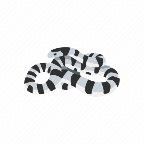 Grey Banded King Snake Nature Kingsnake PNG Image