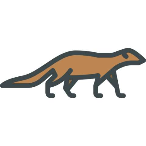 Mongoose PNG Drawing Art Image Free Download