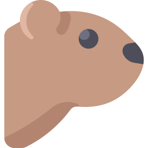 Vector Free Art On Groundhog PNG Animal Free Download