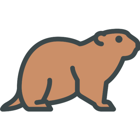 Groundhog PNG Free Animals Icon Download Free