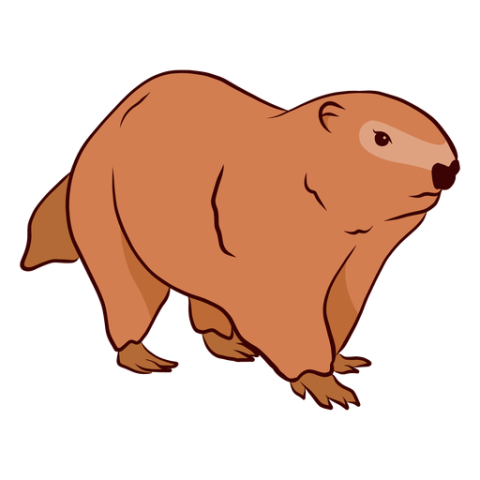 Groundhog PNG Sticker Image Free Download