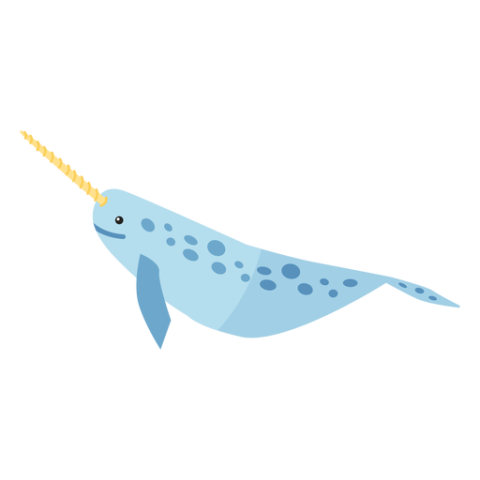 Water Animal Vector Art Narwhale PNG Image Free Transparent