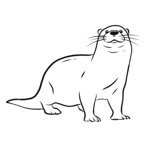 Vector Otter PNG Outline Image Free Transparent