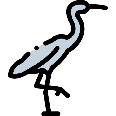 Heron PNG Art Line Free Image