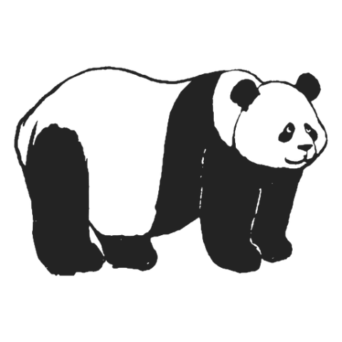 Giant Panda Bear PNG Image Free Transparent