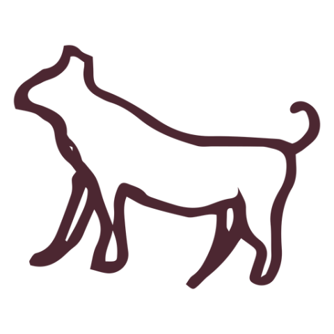 Vector Art Line Greyhound PNG ClipArt Image Free Download