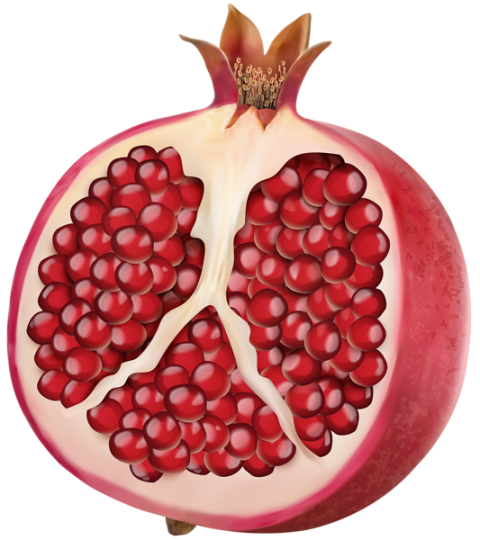 HD Half Pomegranate PNG Image Free Download