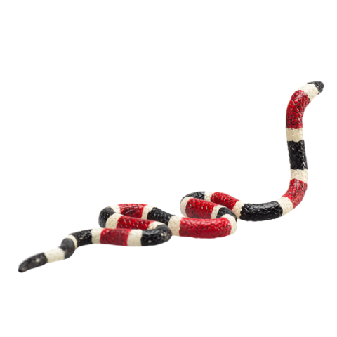 Transparent Background Kingsnake PNG Picture