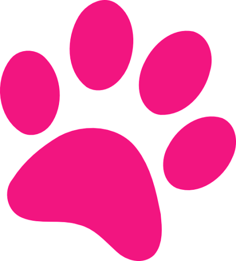 HD Clipart Pink Paw Print PNG Bear Hand Free Transparent